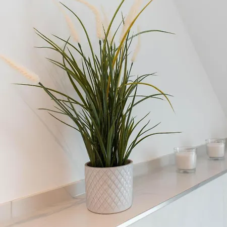 Bude 37 Whg 7 Scharbeutz